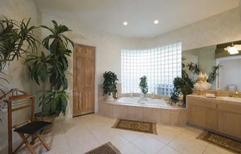 The Best Plants for Bathrooms