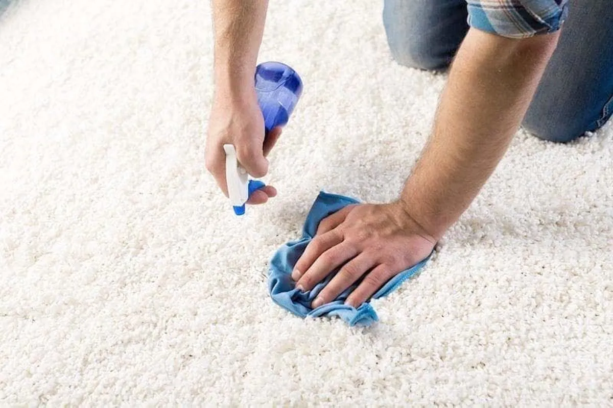 Read more about the article Cleaning Hacks for your Home That Are Kind and Gentle