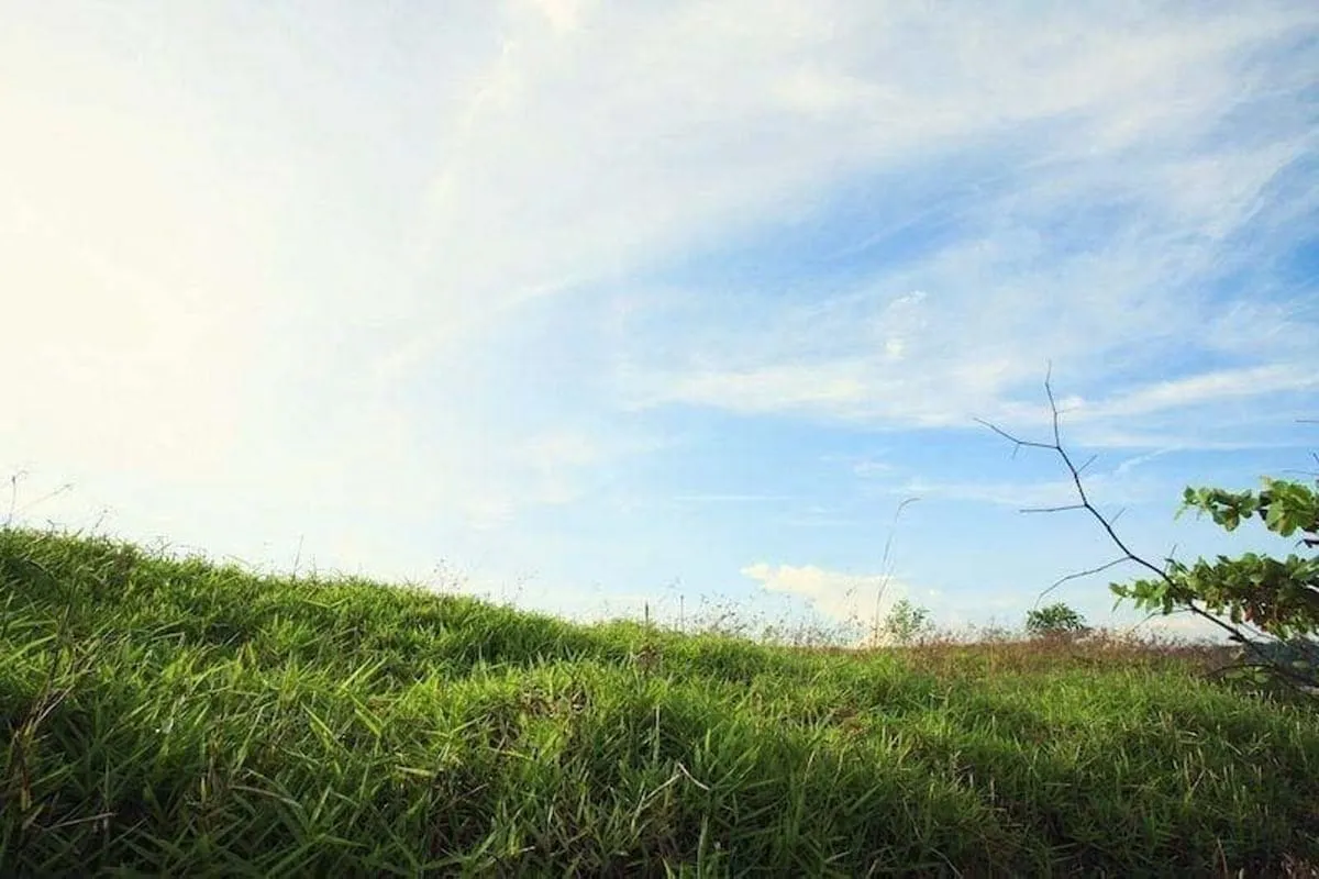 Read more about the article Why Spring Is a Great Time for Home Improvements