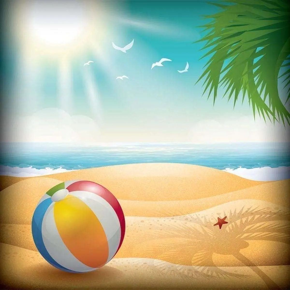 Read more about the article Top Tips to Help With Your Home Summer Clearout
