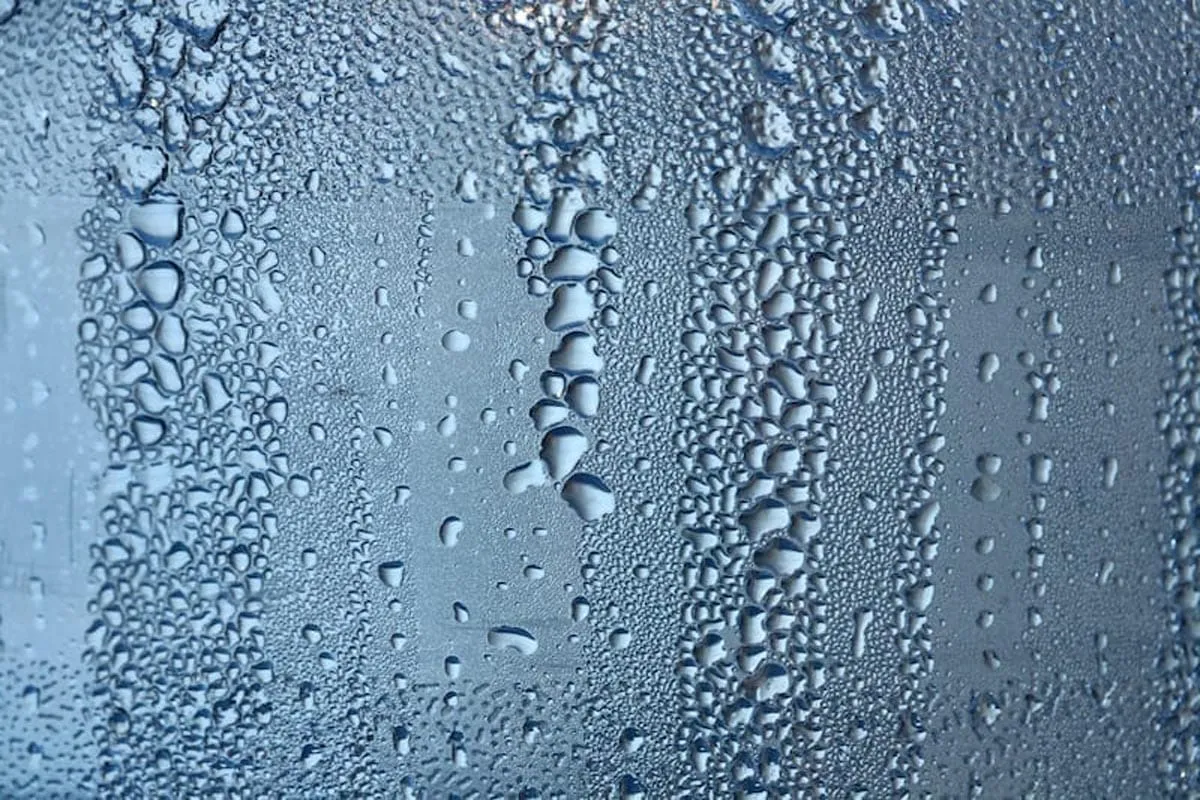 Article Hero Image For How to Prevent Condensation In Your Home: Essential Tips and Tricks